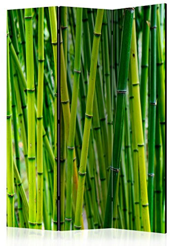 RAUMTEILER/PARAVENT B&D XXL - Paravent Raumteiler Innen Spa Zen Bambus Natur 135x172 cm 3-teilig Einseitig Raumtrenner Raum Trennwand Holz Room Divider Spanische Wand Raum Abtrennung grün