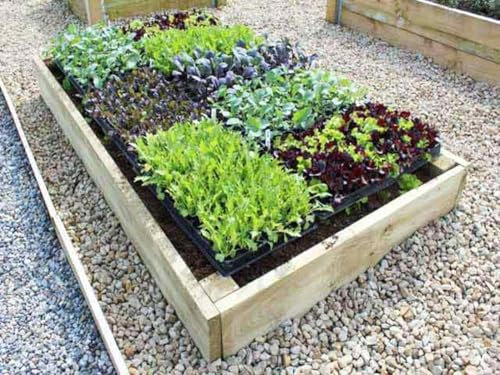 Quickcrop Premier Raised Garden Bed - 22.5cm High (360cm x 120cm)