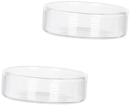 LAPYAPPE 2St Dessertteller Essenstabletts Mini-Schüsseln snackplatte Snack Disk Snack Plate Dessert Plate Table Decoration Haushaltsglasplatte Kuchenschale Salatteller Transparent