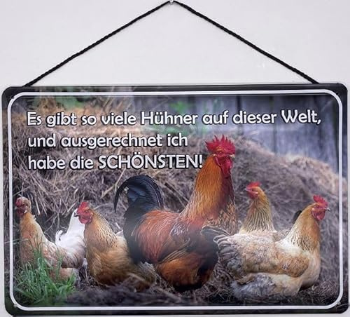 Blechschild mit Kordel 30 x 20 cm Spruch: Es gibt so viele Hühner auf Dieser Welt, und ausgerechnet ich Habe die SCHÖNSTEN - Blechemma