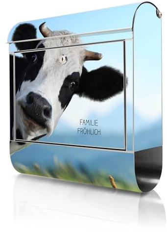 banjado Briefkasten Edelstahl personalisiert 38x43x12cm & 2 Schlüssel - rostfreier Edelstahl Briefkasten mit Zeitungsfach - Postkasten A4 Einwurf inkl. Montagematerial - Motiv Neugierig