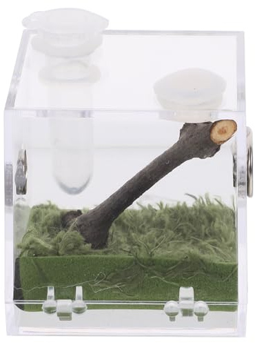 minkissy Reptilienhalter Transportbox Transparent mit Lüftungsschlitzen für Spinnen und Kleine Tiere für Zucht und Haltung im Terrarium
