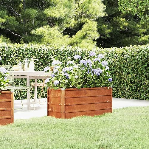 BaraSh Lit surélevé de Jardin rouillé 100x40x45 cm Acier corten,Bordure Pierre,Kit Gabion,Gabion Jardiniere