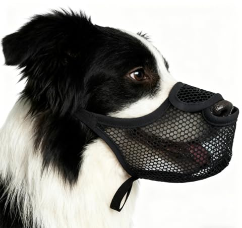 Munkorg för medelstora hundar, nylonmunkorg för hundar ätskydd hundmunkorgar för hundar andas och bekväma, munkorg för stora hundar andas och justerbar för bett- och ätkontroll
