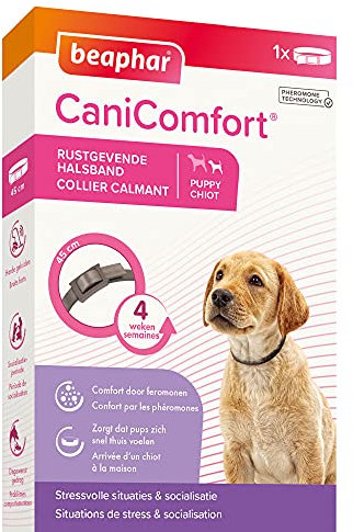 Beaphar Canicomfort Hundehalsband, beruhigend, Pheromone, 45 cm