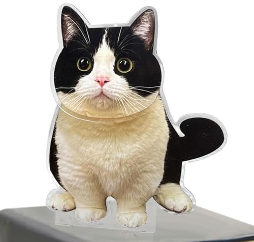 Generisch Katzen-Wackelkopf,Katzen-Wackelkopf fürs Auto | Kleinwagen-Innendekoration,Niedliches Cartoon-Wackelkopf-Spielzeug, Acryl-Auto-Innendekoration, Desktop-Schüttelkopf-Ornament