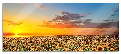 Pixxprint Glasbild Panorama, Wandbild aus Echtglas, Sonnenuntergang Sonnenblumen, 120x50 cm, inkl. Aufhängung und Abstandshalter