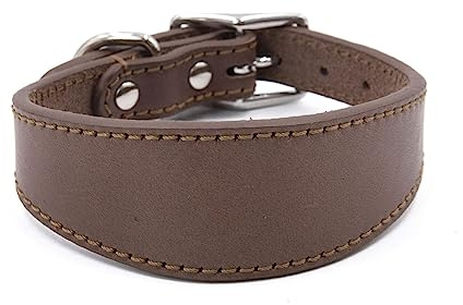 Collar ancho acolchado para perros, de piel auténtica, collares para cachorros, para lurchers, galgos italianos, accesorios cómodos para mascotas, suministros, collar de accesorios