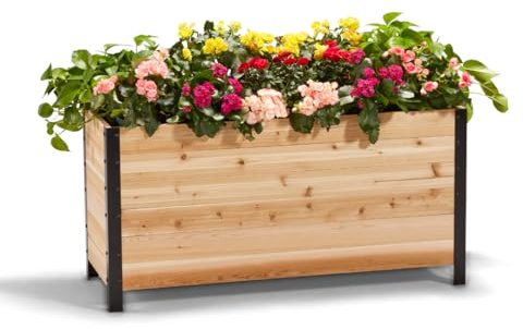 EARTH ELEVATED 100% Canadian Cedar Wood Elevated Garden Bed for Gardening - Planter Pot to Grow Herbs Flowers, and Vegetables at Home Indoor and Outdoor Patio Balcony Deck - 18” x 48” x 24”