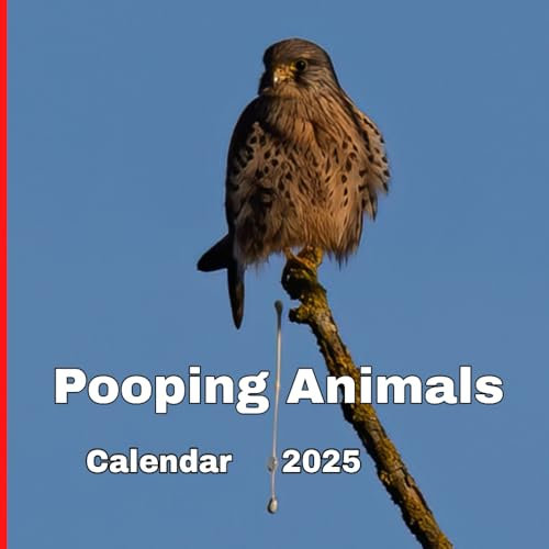 Pooping Animals Calendar 2025: Funny gift for animal lovers