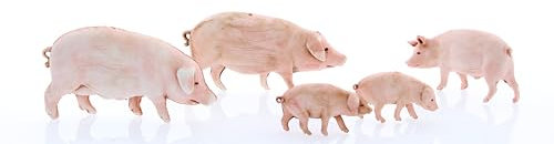 Moranduzzo 5 Maiali Assortiti per Presepe da Cm 10 Scala 1:20 - Statuine Presepe Indistruttibili - Pittura Rifinita a Mano, Prodotto Ufficiale, Made in Italy, Scultore M. Landi