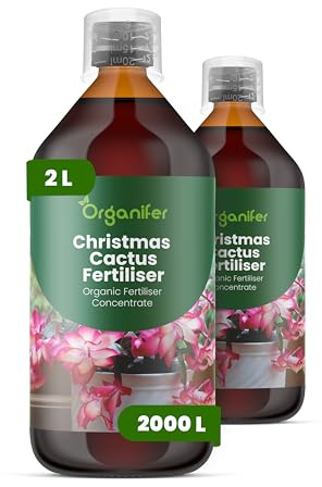 Fertilizante Líquido Orgánico 2x1L Para Cactus De Navidad – Estimula La Formación De Brotes – Organifer