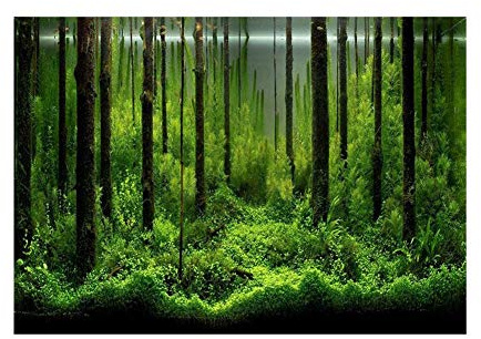Aquarium Poster Aquarium Rückwandfolie Aquarium Hintergrund Dekoration PVC Klebstoff Unterwasser Wald Tank Hintergrund Poster Doppel Seiten Hintergrund Dekoration Papier für Aquarium(61 * 41cm)