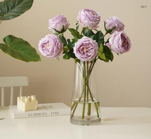 Angel Isabella Pack of 6-17 Premium Real Touch English Austin Cabbage Rose Stem (Pale Lavender)