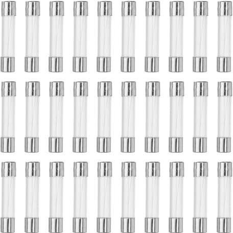 QUARKZMAN 30 Stücke Feinsicherung 6A Glassicherung 250V Sicherungen Schnellschlag Glasrohrsicherung 6x30mm