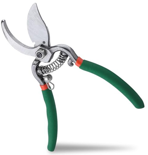 INJOYTEC Ciseaux de jardinage 6 » Ciseaux de jardinage Ciseaux d'élagage portatifs Ciseaux d'élagage Ciseaux de jardinage pour rosiers, fleurs, jardins et bonsaïs