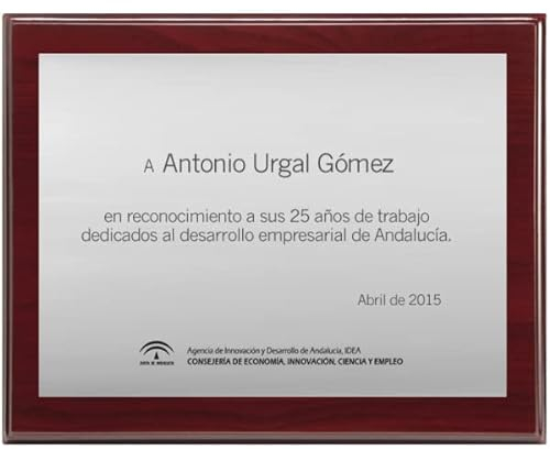 Placas Conmemorativas Personalizadas Grabada Aniversario Pareja Personalizada Bodas de Oro Agradecimiento Jubilación, Regalo, Homenaje, Boda, Placa Grabada