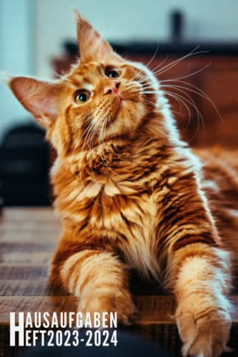 Hausaufgabenheft 2023/2024: Katzen - Schulplaner | Ideal Für Grundschule, Mädchen, Jungen, Teenager Mit Wochenplaner Und Mehr| Raum Für Fach, Aufgaben, Notizen