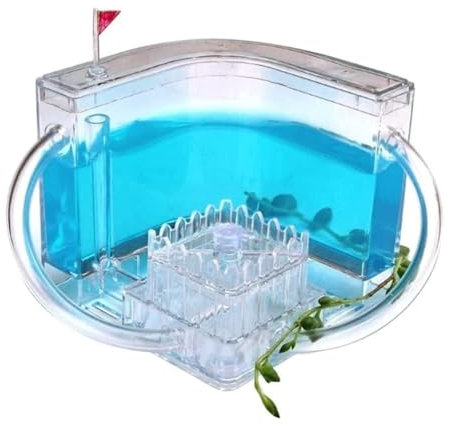 Ameisenhaus Ameisenfarm Ameisenburg Ameisenburg-Beobachtungsset, Ameisenfarm, Durchscheinendes Gel, Ameisenzuchtset, Ameisennest, Farm, Ameisenlebensraum, Wissenschaft Ameisennest Ameisen Zucht Box(B