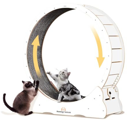 Homegroove Katzenlaufrad, 113 cm Laufrad für Wohnungskatzen, Katzenlaufrad-Laufband mit abnehmbarem Teppich zur Gewichtsabnahme und Gesundheitsförderung bei Katzen (White, XL)