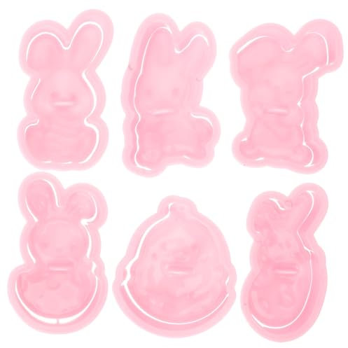 SHOWERORO 6 Per Biscotti Pasquali Silicone Forma Stampini Dolci Fai Da Te Kit Biscotti Cottura