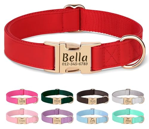PET Artist personalisierte weiche Plain Nylon Leder Hundehalsband stilvolle Elegante benutzerdefinierte Goldschnalle für kleine mittlere Hunde Rot L