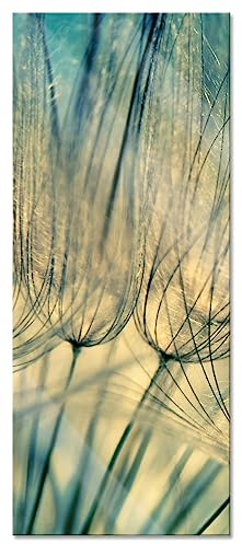 Pixxprint Glasbild Panorama, Wandbild aus Echtglas, Pusteblumen, 120x50 cm, inkl. Aufhängung und Abstandshalter