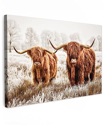 MuchoWow© Leinwand Groß XXL Deko Schlafzimmer Aesthetic Leinwandbilder | 120x80 cm - Wohnzimmer Gemälde Foto Geschenk Living Room Decoration Kuh - Tiere - Schottisches Hochlandrind - Highland Cow