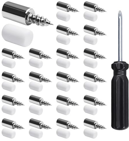 20 paia di chiodi di supporto per parete divisoria, 1 cacciavite, chiodi di supporto per scaffali, supporti per scaffali, chiodi per scaffali, viti autofilettanti per scaffali, accessori per armadio