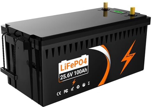 LifePo4 24V(25.6V) 100Ah Batterie de con protección BMS de 100AMáx. 2560Wh mit Tieftemperaturschutz Elektrizitätsanzeigetafel Bis Zu 15000 Zyklenfür Wohnmobil, Solar-/Windkraft, Boot, Camping Akku