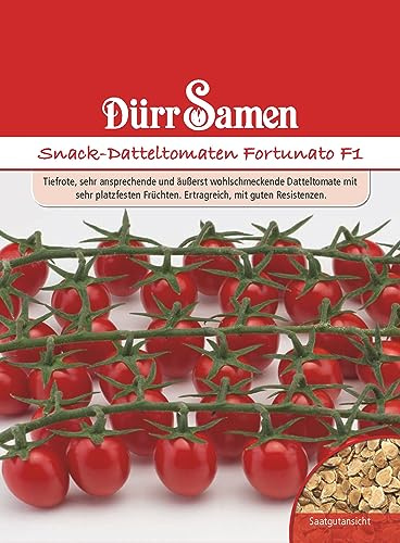Datteltomaten Samen Rote Snack Tomate Fortunato Tomatensamen ca 6 Korn Ertragreich Saatgut Garten Hochbeet Kübel Dürr Samen