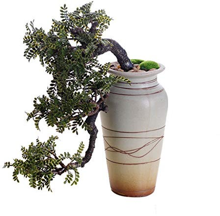 XXXXW Handmade Realistic Faux Cedar Bonsai Tree, Houseplant, White Ceramic Flower Pot, Pebbles, Padded Bottom, Over 1 Ft Tall, (H39cm) Fake Plant