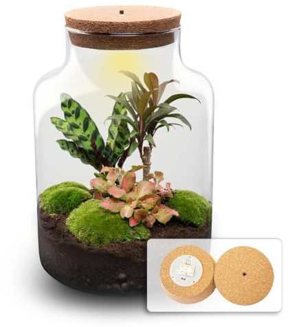 urbanjngl - Milky Palm Pflanzen Terrarium mit Licht - DIY Kit für EIN lebendiges Ökosystem - Durchmesser 21 cm, Höhe 30 cm - Ideal für Pflanzenliebhaber