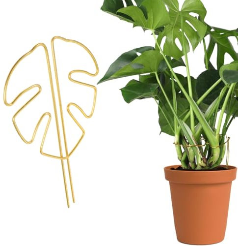 MOLZINY Supporto per Piante per germogli per steli Bastone per Piante Supporti per Piante Pieghevoli Palo per Piante Rampicanti Asta di Muschio Palo Supporto Monstera per Piante Rampicant da Interni