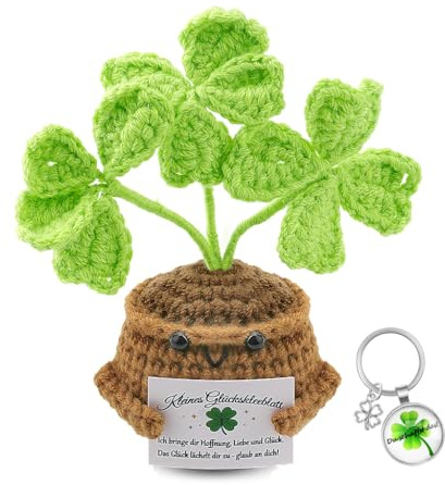 FIDWALL Set Cadeau Porte-Bonheur Trèfle À Quatre Feuilles avec Boîte et Porte-Clés, Trèfle Tricoté Chance, Petit Cadeau d’Encouragement et Remerciement pour Amis et Collègues