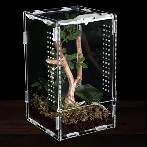 INNAL Reptilien Terrarium Box mit Pinzette Fütterungsbox Acryl Terrarium Springspinne 11 x 12 x 20 cm Insekten Terrariüm Spinne Faunarium für Reptilien Haustierschlangen Gottesanbeterin Schnecken