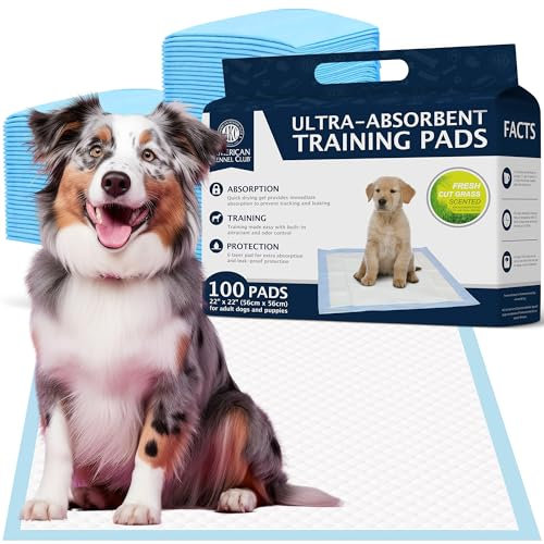 American Kennel Club Lot de 100 Tapis de Dressage parfumés avec Gel Ultra Absorbant à séchage Rapide - 22 x 22 Tapis hygiéniques pour Chiens - Parfumés à l'herbe