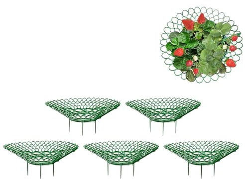 GkgWuxf Confezione da 5 supporti per fragole, supporto per piante di fragole con 3 gambe robuste, rack per la coltivazione di fragole, telaio per coltivare piante in vaso per fragole in serra