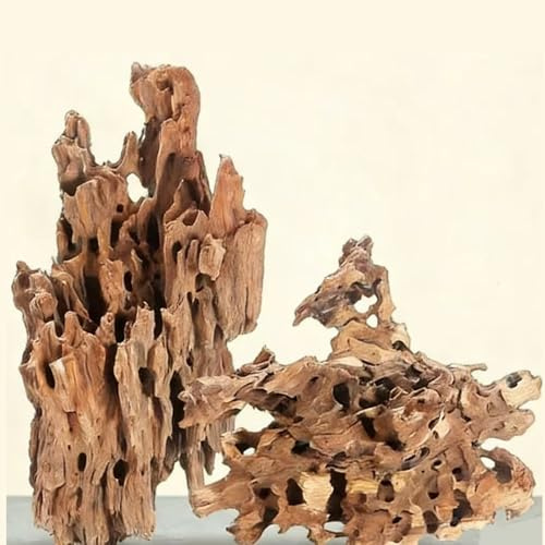 XINGYUXUXIN 4 Pcs Natural Aquarium Driftwood Shrimp Wood, 3.94-5.91 (10-15cm) Assorted Branches & Trunk, Terrarium Ornament & Habitat Decor for Fish, Shrimp and Reptiles