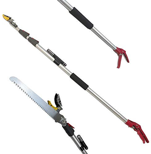 Smarkey - Tijeras de podar extensibles y extensibles para árbol de poda, para cortar y sujetar telescópicas, recolectores de frutas, jardinería, ramas de derivación, 3 secciones extendidas