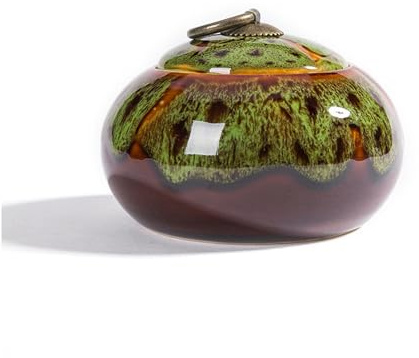 Porcelain tea box tea caddy vintage storage jar airtight teapot storage box | Ceramic tea set with airtight lid cans for tea coffee beans candy spices(Green)