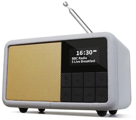 Radio Portable Dab+ avec Bluetooth I Batterie Rechargeable avec 12 Heures d'autonomie ou Alimentation Secteur I IPX4 étanche I Radio FM, 40 présélections I Lemega Class Compact, Gris