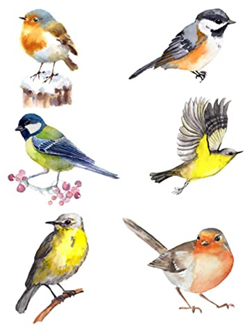 VALICLUD Pegatina De Advertencia De Impacto Aves Adhesivos Anticolisión Para Ventanas Adhesivos Estáticos Decoración De Ventanas Para Interiores Protección De Aves De Baño