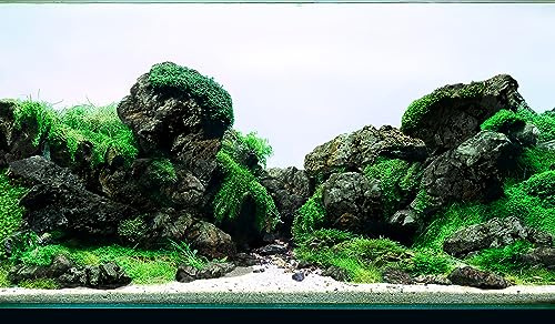 LANDEN Black Icelandic Lava Stone Natural Rocks (18lbs, 3~11 inches,11pcs) for Aquariums, Paludariums, Terrariums, Caves and Rocky Peaks, Mountainous Desert Landscapes | 11pcs, 3-11in, porous craggy texture; freshwater aquatic plants landscaping decor; reptile terrarium rock for bearded dragon