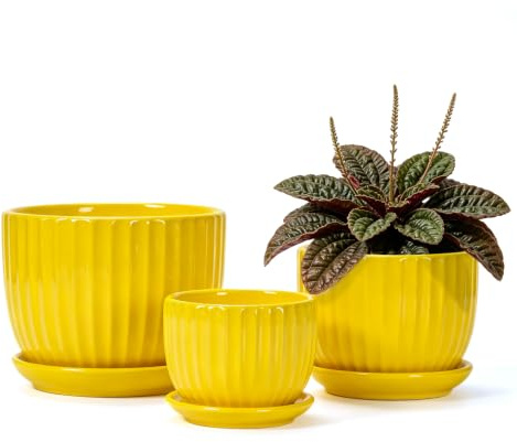 Ton Sin Ceramic Flower Pots,Yellow Plant Pots for Indoor Plants,4.1+5.1+6.5 inch Ceramic Plant Pots with Tray,Medium Indoor Planters for Aloe Cactus Decorative Pots with Drainage Hole (Set of 3) | Colorful Ceramic Planters for Indoor Plants | Medium Plant Pots | Cute Herb Planting Pots | Decorative Garden Pots