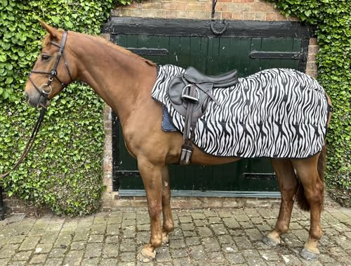 Ruggles Ride On Mesh Fly Exercise Sheet for Horse and Pony, lightweight, breathable fly protection (Zebra Print, Medium)