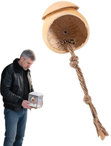 Terrarium pour Araignées Sauteuses,Habitat Naturel en Bois pour Phidippus - Accessoires Décoratifs en Forme de Calebasse pour Reptiles Animaux Domestiques Lézards Grenouilles
