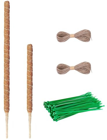tallkeey 2 pali di muschio da 64 cm, palo di muschio per Monstera, supporto per piante pieghevoli, palo di muschio Monstera per la crescita di piante rampicanti (T-230425)