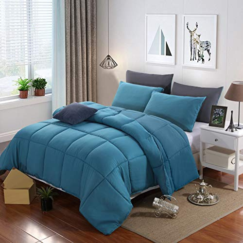 AYSW Couette Réversible 4 Saisons 450g/m² Microfibre 220x240 cm Hypoallergénique Bleu Lac Couette Hiver Matelassées Couverture Construction Box-Stitching Edredon Épais 2 Personnes