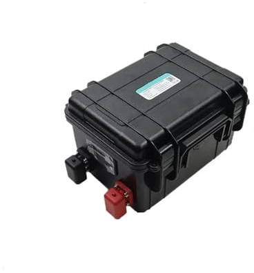 Batterie Lithium-Fer-Phosphate 12 V 30 Ah, 50 Ah, 100 Ah, 120 Ah, 150 Ah, Version Bluetooth, Compatible avec Une Alimentation Portable 12,8 V(12V 30Ah Battery)